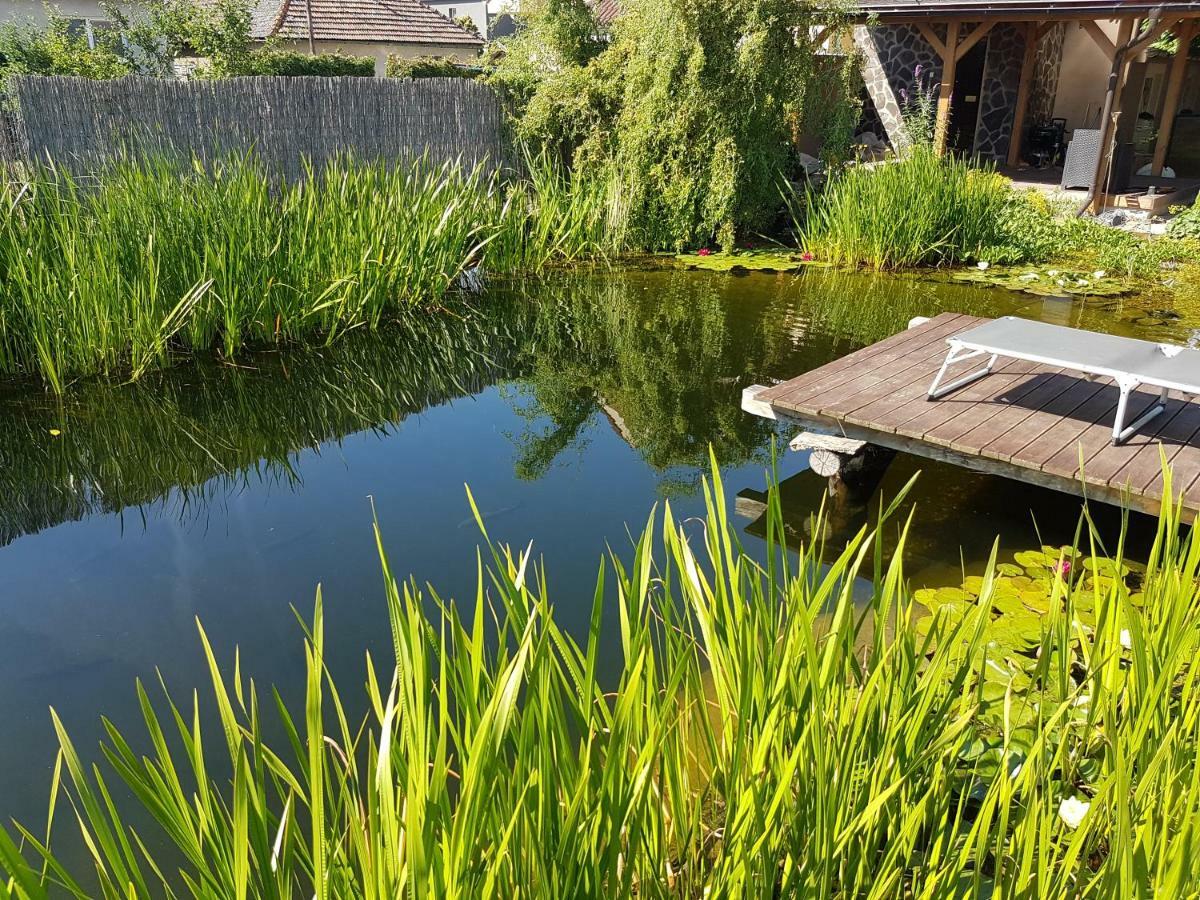 Walnut Apartment With Sauna And Pond Topolcany Exterior foto