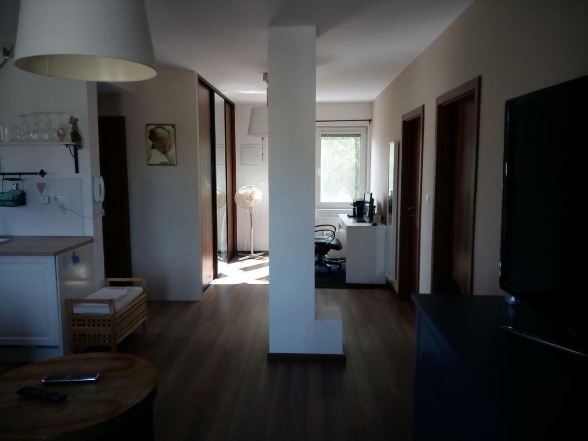 Walnut Apartment With Sauna And Pond Topolcany Exterior foto